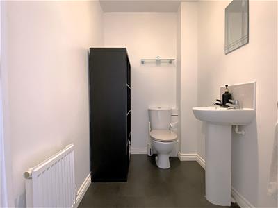 Picture 7